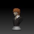 ron008.jpg Ron Weasley (Harry Potter)