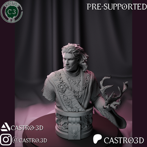 Gale - The Waterdeep Mage - Baldurs Gate 3 Bust Collection 3D print model 3D model