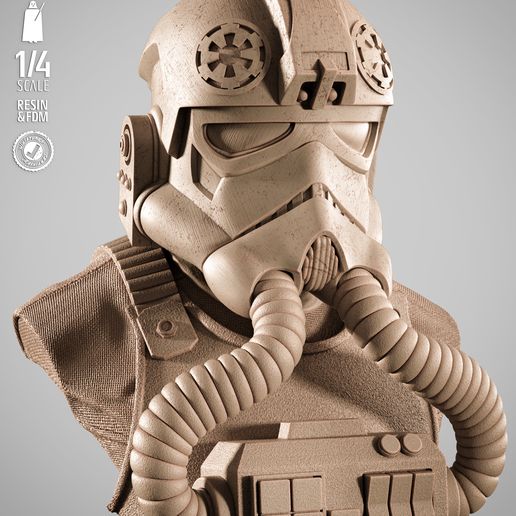 050925-SW3D-Elite-Tie-BustP Images-003.jpg ЭЛИТНЫЙ ПОРТРЕТНЫЙ БЮСТ FIE - ПРОТЕСТИРОВАН И ГОТОВ К 3D-ПЕЧАТИ