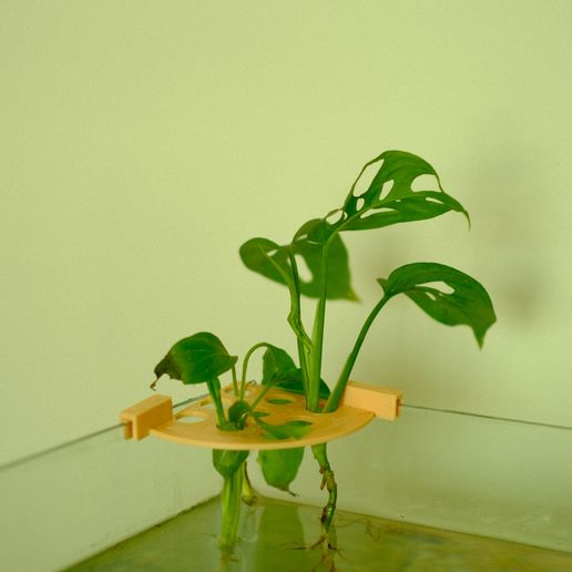 ACUARIO Plant Stand