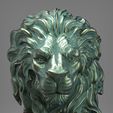 Lion (3).jpg Lion Head