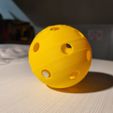 20250105_155833.jpg Pickleball ball