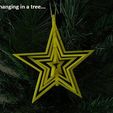 06aea1914cd2835a5e033bccf242e2b2_display_large.jpg Free STL file Spinning Christmas Star・3D printable model to download