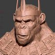 15.jpg Kingdom of The Planet of The Apes Bust