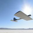 2.jpg glider airplane / Glider airplane