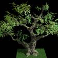 blender_render.jpg tree for Diorama