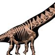 2.jpg Alamosaurus: Complete skeleton