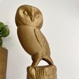 IMG_4649.jpg Owl on tree Figurine and Ornament- No supports - 3mf Included