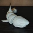 IMG_20230608_003821.jpg Flexi Realistic Shark