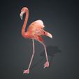 UV-3.jpg DOWNLOAD Flamingo 3D MODEL ANIMATED - BLENDER - 3DS MAX - CINEMA 4D - FBX - MAYA - UNITY - UNREAL - OBJ -  Flamingo DINOSAUR DINOSAUR Flamingo DINOSAUR BIRD