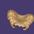 Clipboard-2024-12-21-00-22-09.jpg DIGITAL FLEXIBLE PARTIAL DENTURES upper + lower (3D models !!!) - 11 stl files for download