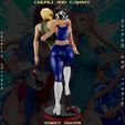 Z-14.jpg Chun Li and Cammy White - Street Fighter - Collectible Rare Model