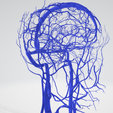 vein,-artery,-cerebrovascular,-brain,-face,-hemisphere,-willis,-dental,-neck,-head,-cerebellum,-vasc.png 3D 头颈部血管解剖图 - 动脉、静脉和脑血管系统