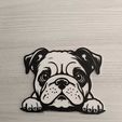 WhatsApp-Image-2024-01-27-at-13.03.34.jpeg Charming Bulldog Peekaboo Wall Art STL File for 3D Printing