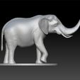 ELLLLF.jpg Elephant