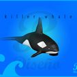 portadaa-orca.jpg killer whale (x5) + complete
