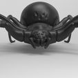 untitled.48.jpg spider