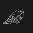 Screenshot-2026-04-25-at-8.04.05 AM.png Beautiful Firetail 2 lineart 3d printed