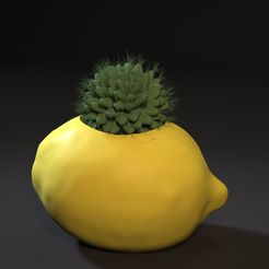 1.jpg Archivo STL plantador de limones・Idea de impresión 3D para descargar