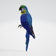 2.png Low Poly Parrot - Low Poly Parrot