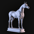 02.png Arabian Horse