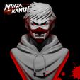 2.jpg Higan - Ninja kamui