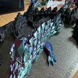 IMG_1392.jpg Bigarm-Gelenkdrache