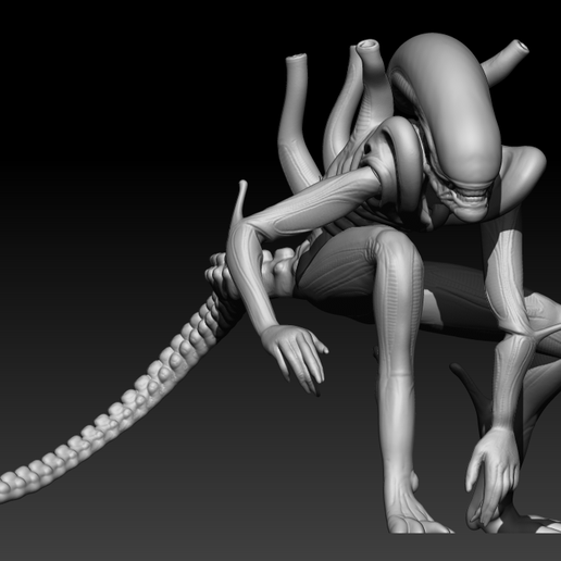 👽 Alien Xenomorph Separated by pieces - Alien Xenomorph