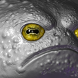 CloseUp2.png Grumpy Rain Frog Jar