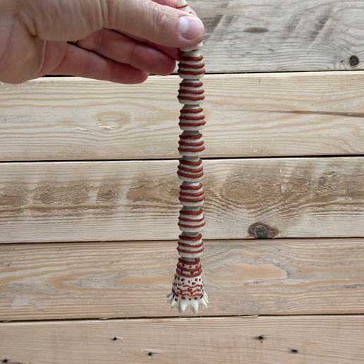 IMG_0400.jpeg Mini sandworm