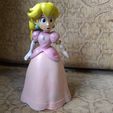 20250108_124215.jpg Princesa Pêssego Flexi - SUPER MARIO BROS