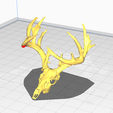 Image-1.png Deer Skull and Antlers