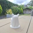 9dc7407f-3bfd-444a-93b4-eb91087e3328.jpg Cute Ghost French Bulldog