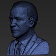 24.jpg Joe Biden bust 3D printing ready stl obj formats