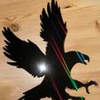 IMG_20240318_220910.jpg Silhouette aigle effaroucheur oiseaux