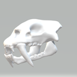 tigresable.png saber-toothed tiger skull