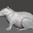 capibara01.png Seated Capybara Sculpture