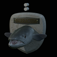 Barracuda-solo-model-3.png fish head great barracuda trophy statue detailed texture for 3d printing