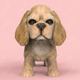AC01.png Cute Puppy American Cocker Spaniel STL and VRML