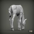 foal-eats6.jpg Escultura Potro come