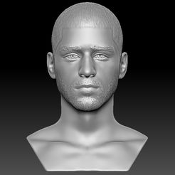 1.jpg OBJ-Datei Zayn Maliks Büste für 3D-Druck herunterladen • Vorlage für den 3D-Druck, PrintedReality