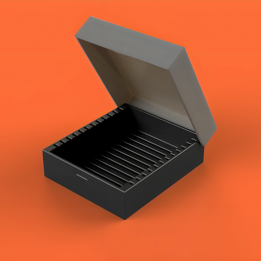 SO-DIMM Memory Module Storage Case