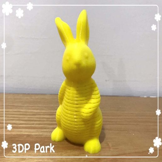 4.jpg Springy Rabbit (2)