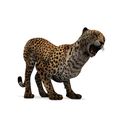 G.jpg DOWNLOAD Cheetah 3d model - animated for blender-fbx-unity-maya-unreal-c4d-3ds max - 3D printing Cheetah - LEOPARD - RAPTOR - PREDATOR - CAT - FELINE