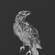 Screenshot_9.png Low Poly - Noble Eagle Magnificent Design