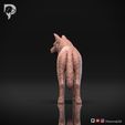 Australian-Cattle-Dog-Pose-02-Dog-3D-Print-5s.jpeg Australian Cattle Dog 3D Print Model Pose 02