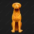 3456-Chesapeake_Bay_Retriever_Pose_04.jpg Chesapeake Bay Retriever Dog 3D Print Model Pose 04
