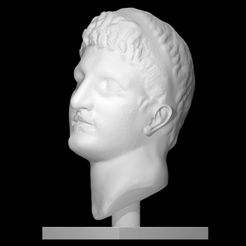 resize-hellenisticruler.jpg Free STL file Marble Head of a Hellenistic Ruler at The Metropolitan Museum of Art, New York・3D print model to download, metmuseum