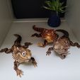 Bearded Dragon Articulated Toy, Print-In-Place Body, Snap-Fit Head, Cute Flexi