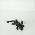 IMG20240531113455.jpg FLEXI TOOTHLESS DRAGON ARTICULATED